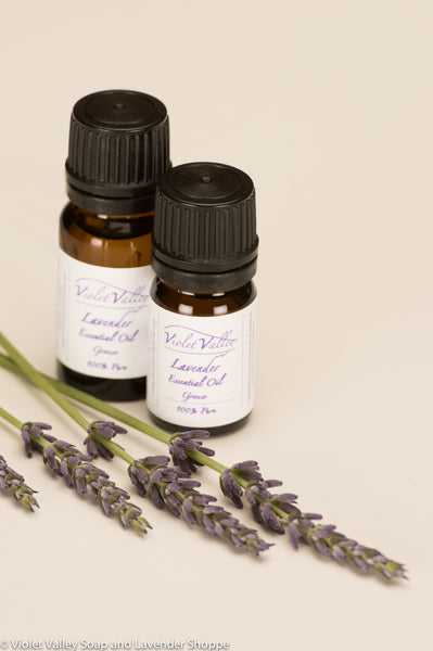 Lavender Essential Oil, Grosso | Violet Valley