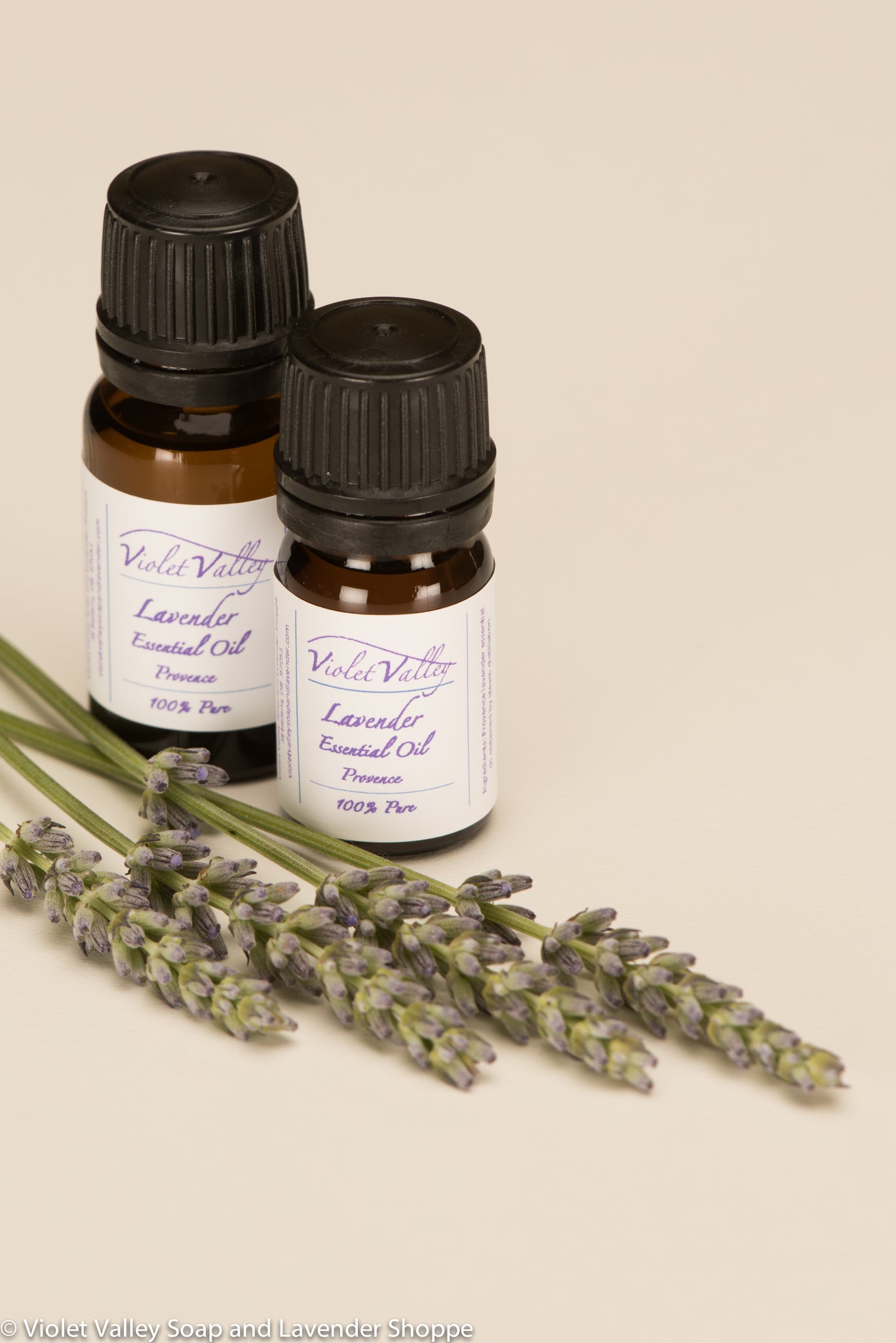 Lavender Essential Oil, Provence | Violet Valley